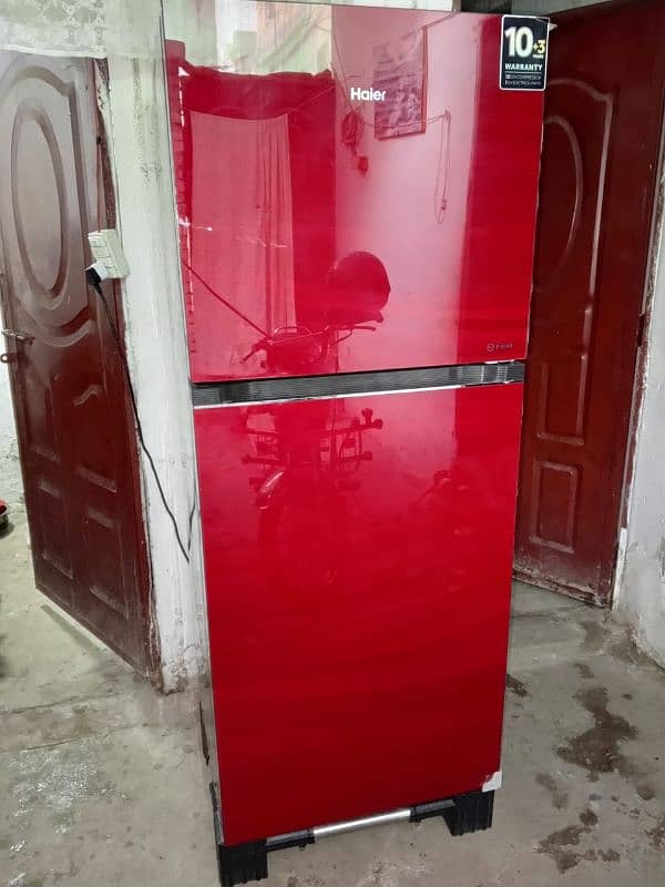 Haier Fridge HRF 398 EPRW, 10/10 condition 9