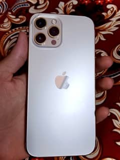 iphone 12 pro max non pta (jv)