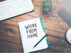 work from Home online jobs for females