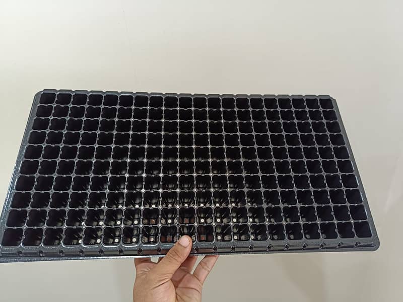 Seeding Tray 2