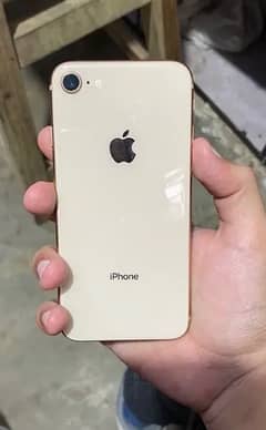 IPhone 8 pta prove