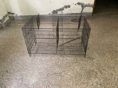 cage for sale