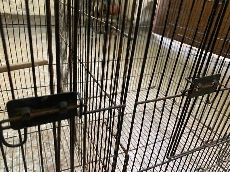 cage for sale 3