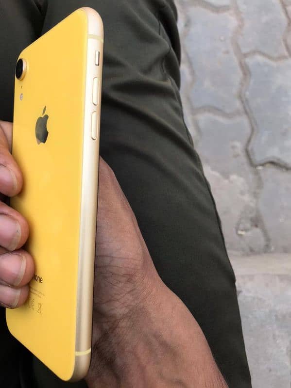 iphone XR 1