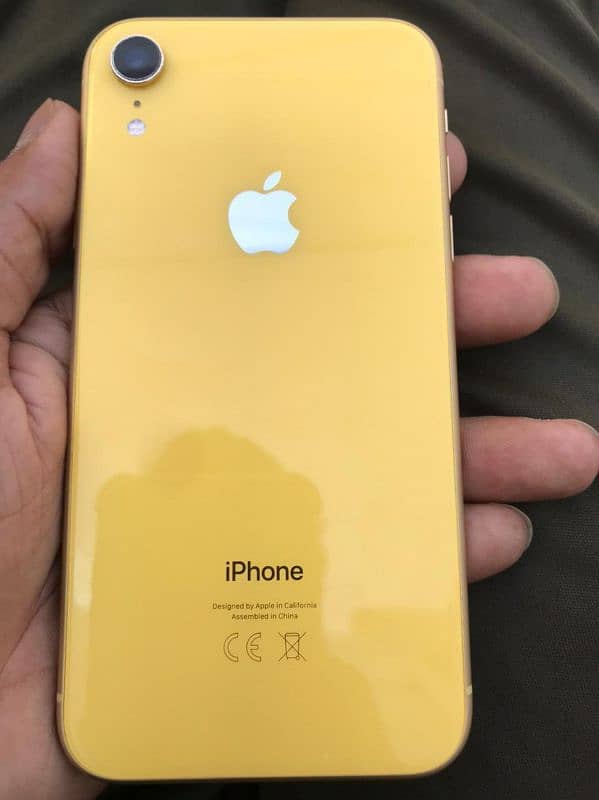 iphone XR 3