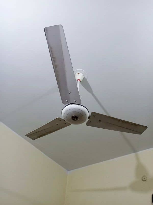 3 Celling fans for sale condition 10/10 2