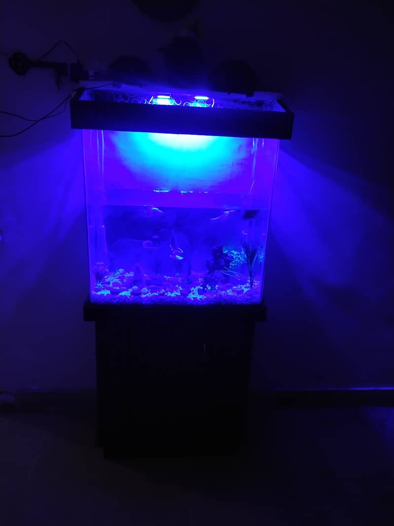 Aquarium Sell without Fish 2