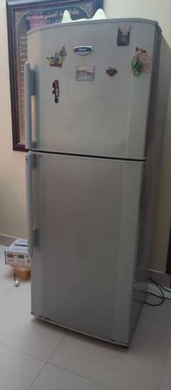 Haier 380 Refrigerator