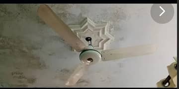 Ceiling fan for sale in cheap price 4900