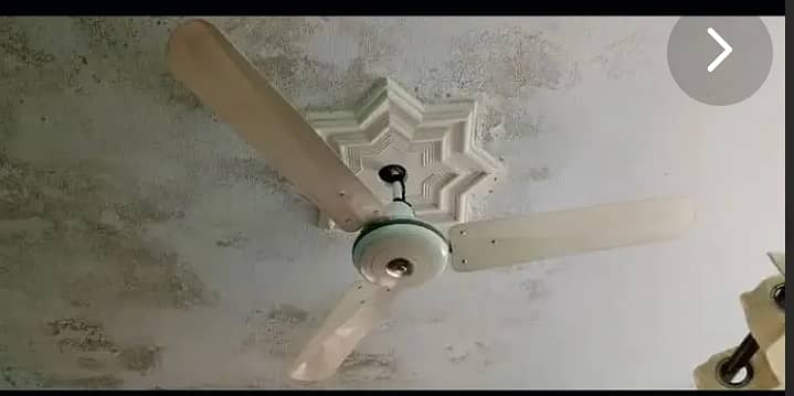 Ceiling fan for sale in cheap price 4900 0