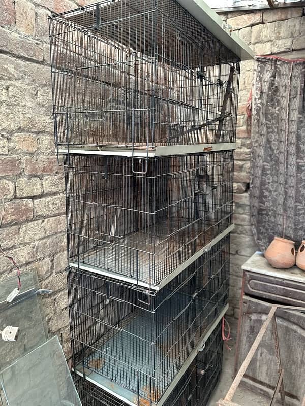 parrot Cages Folding cage 3