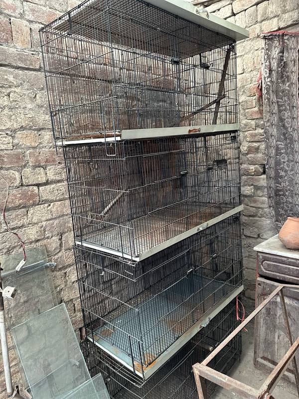 parrot Cages Folding cage 5