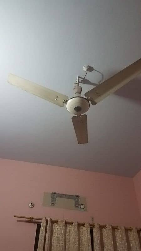 Different Ceilling Fan 3