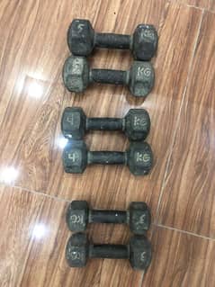 dumbbells (3 set)