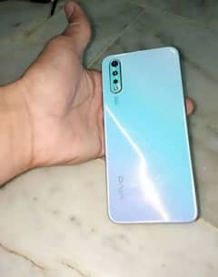 vivo