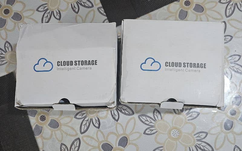 One Pair Of Cloud Storage Cameras 2