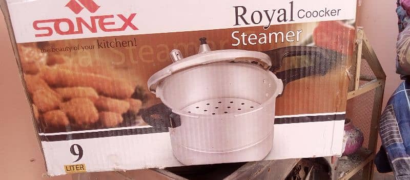 2in 1 cooker and steamer 4