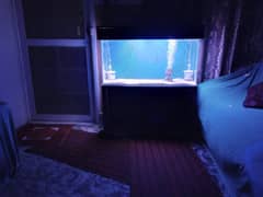 fish aquarium+ iron stand