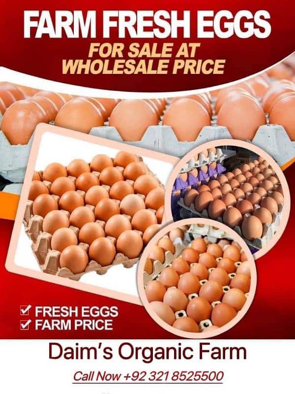 desi eggs 4