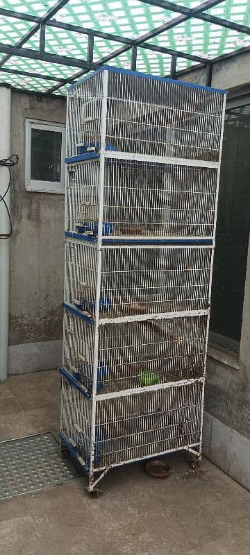 Iron cages for love birds 1