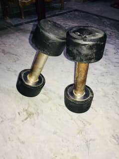 3 kg Dumbbell