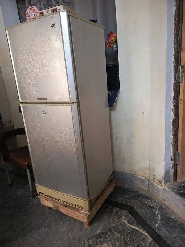 PEL PRA120 Medium Refrigerator 2