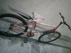 Phenix cycle for sale