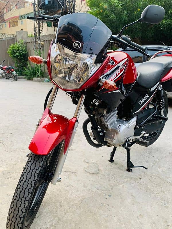 Yamaha YBR 125 unregistered Brand New 2