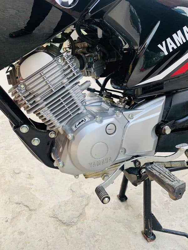 Yamaha YBR 125 unregistered Brand New 4