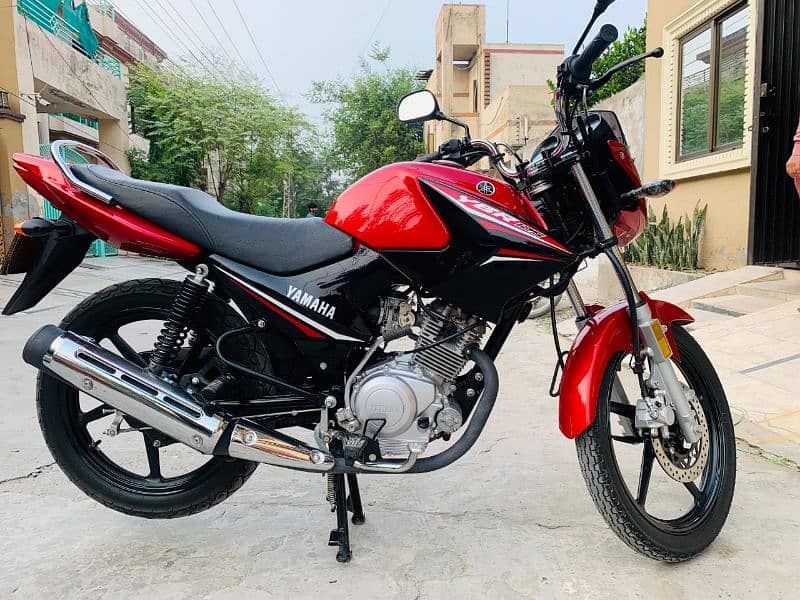 Yamaha YBR 125 unregistered Brand New 5