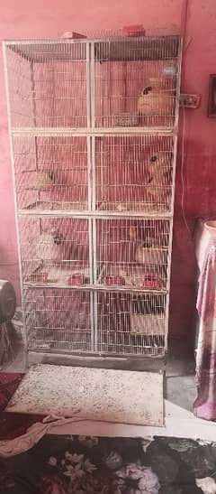 8/box cage ha 0