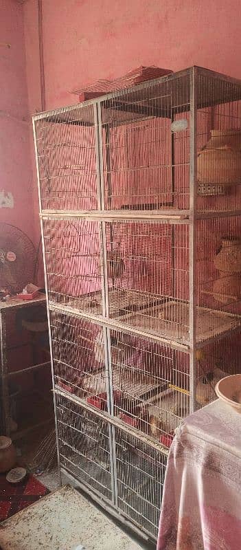 8/box cage ha 1