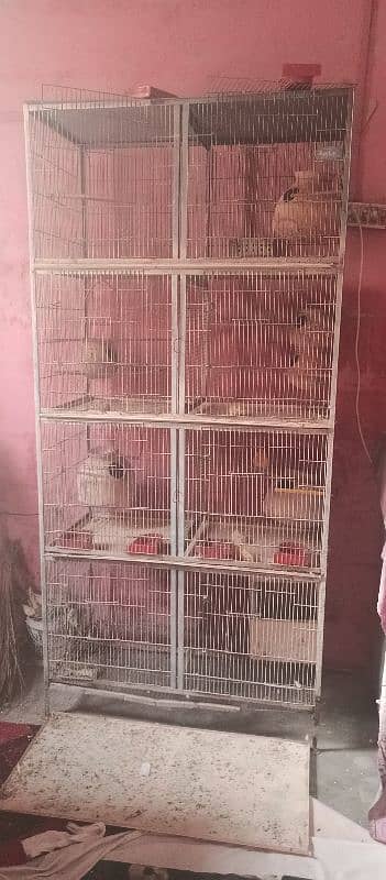 8/box cage ha 2