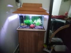 fish for sale with aquarium