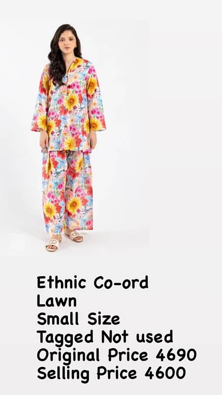 Ethnic Tagged Suits 0