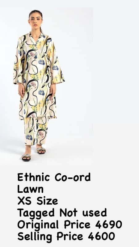 Ethnic Tagged Suits 1