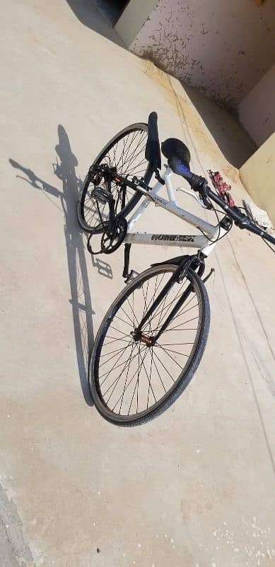 Bicycle for Sell 4