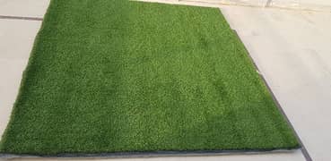 Artificial Grass