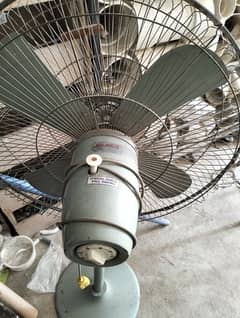 parco fan