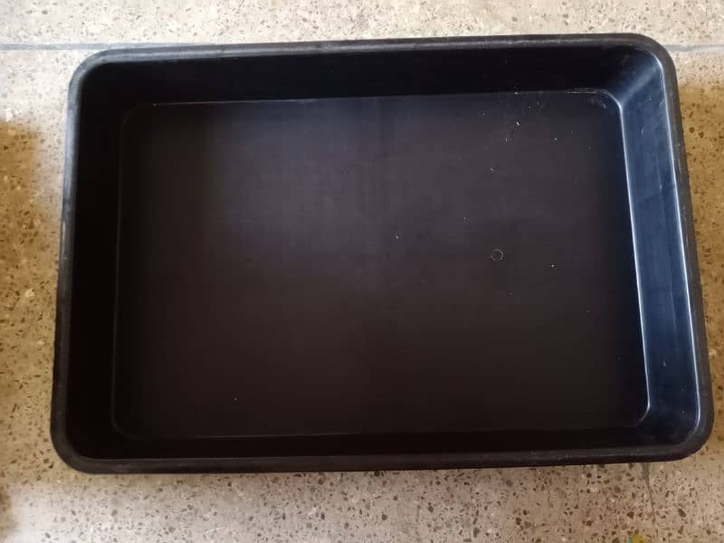 Larwas plastic tray 0