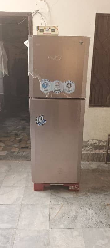 pel fridge 10/10 0