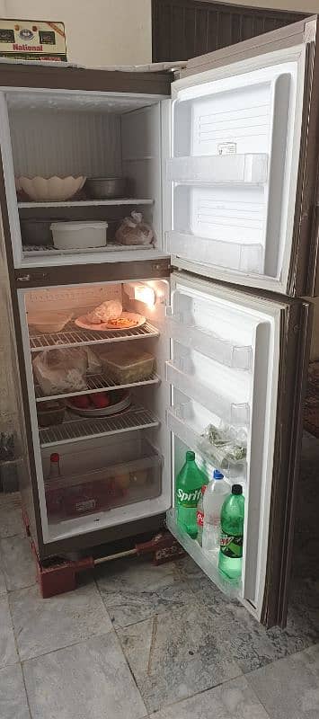 pel fridge 10/10 3