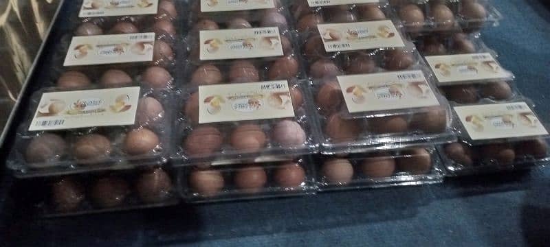 Brown eggs available contact Whatsapp 03707141586 2