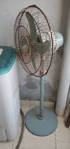 fan