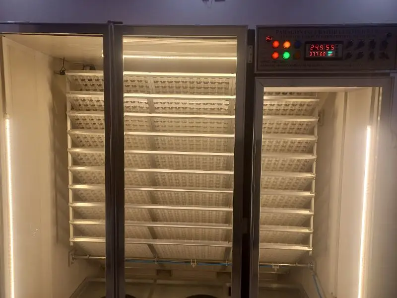 5000 eggs capacity Incubator Automatic | Egg Hatching Machine For Sale — photo 4