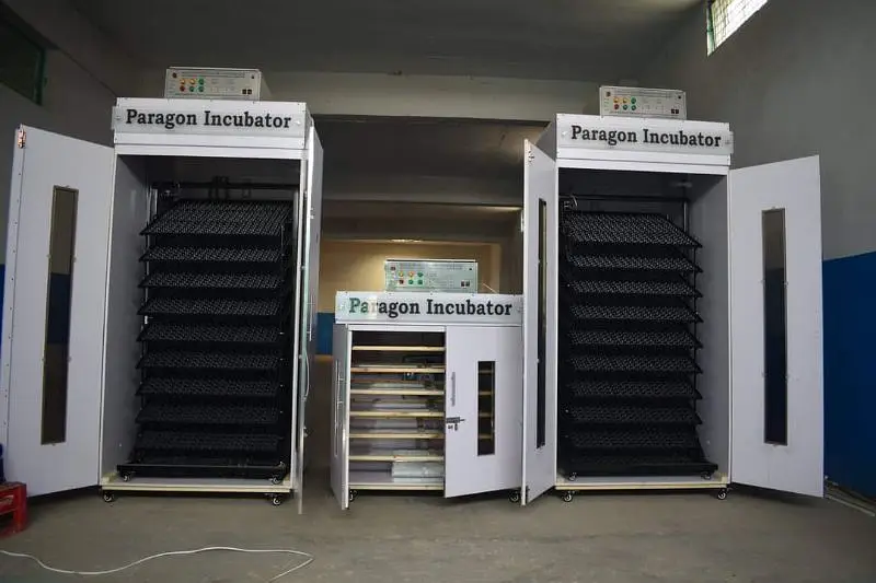 5000 eggs capacity Incubator Automatic | Egg Hatching Machine For Sale — photo 7