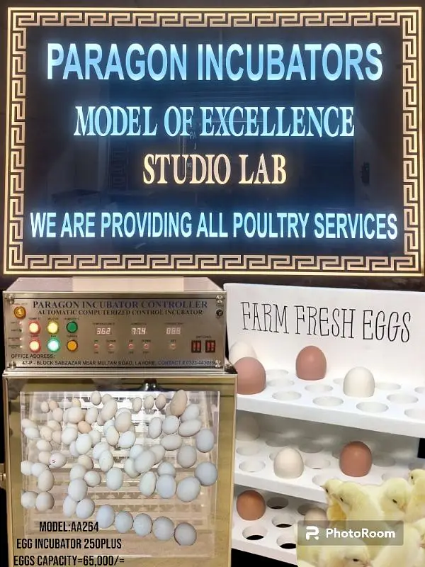 5000 eggs capacity Incubator Automatic | Egg Hatching Machine For Sale — photo 8