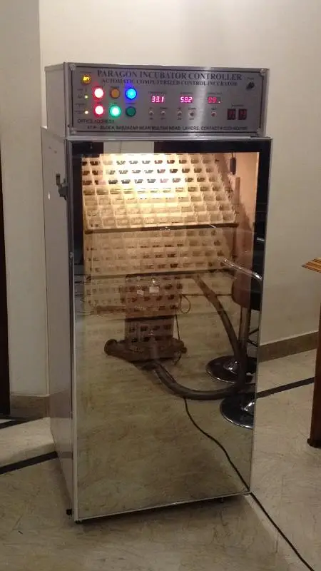 AA-500 eggs Super Automatic Incubator | Egg Hatching Machine For Sale