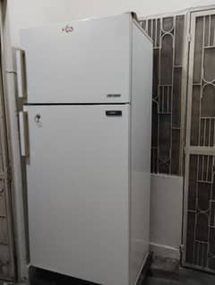 imported fridge (ignex)