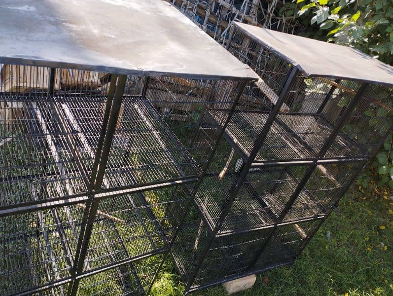 Cage for sale 1